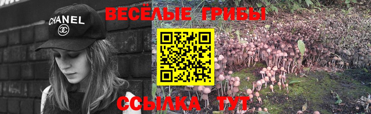 Ишим  Галлюциногенные грибы Psilocybe  Вход с VPN  Галлюциногенные грибы Magic Shrooms 